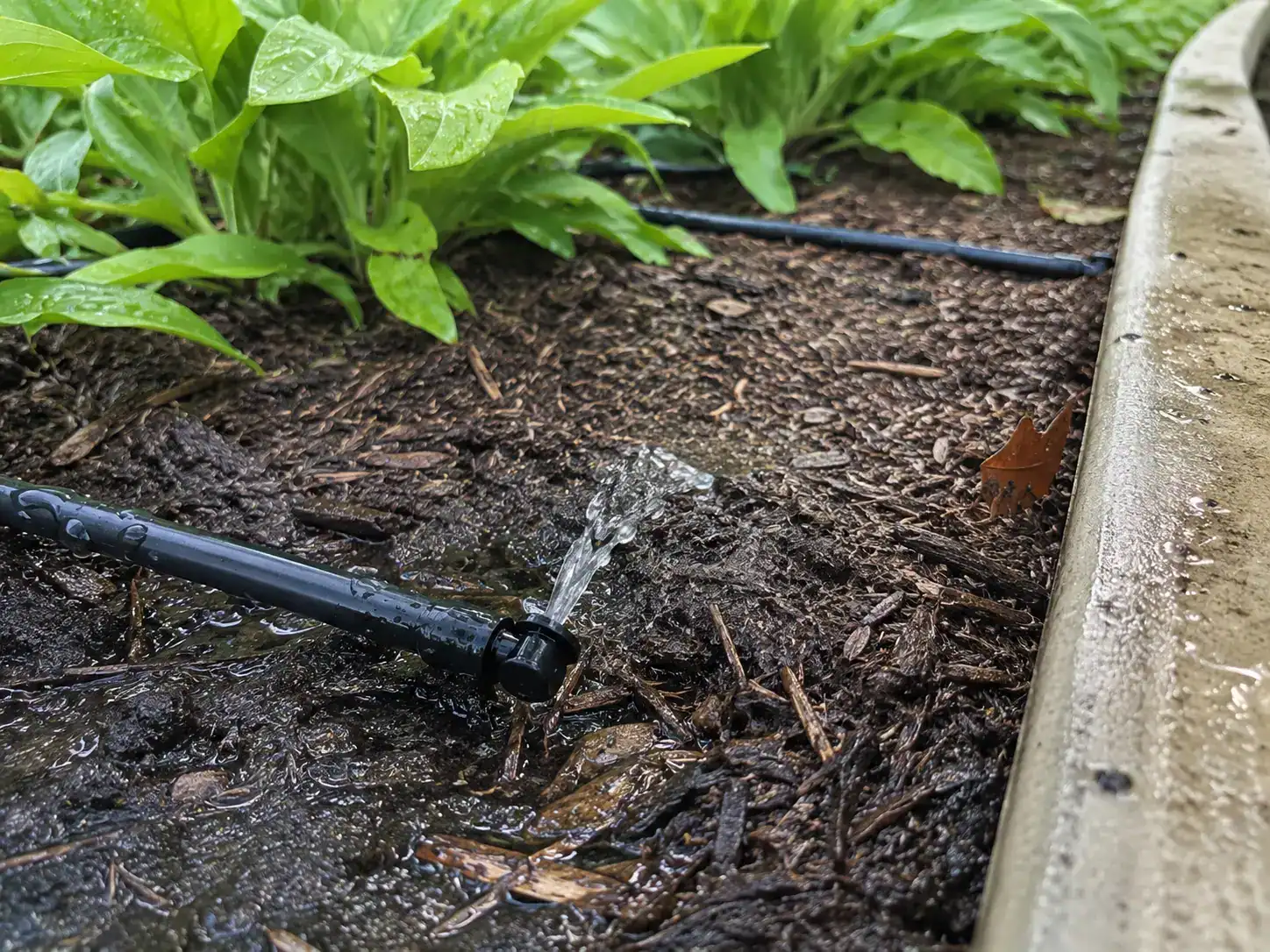 Professional irrigation leak detection and sprinkler repair services in Oakland, CA