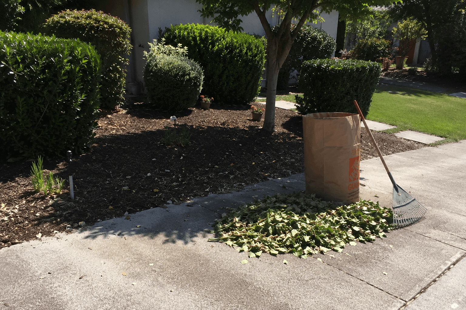 Landscape cleanup after tree trimming and pruning
