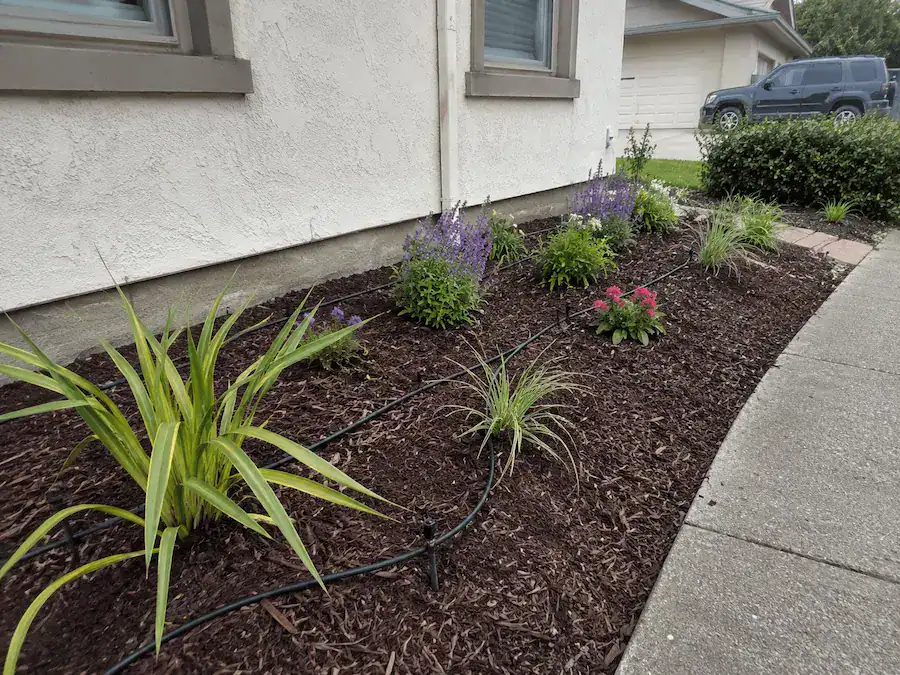 Drip irrigation for landscape plantings and mulch beds in Oakland, CA
