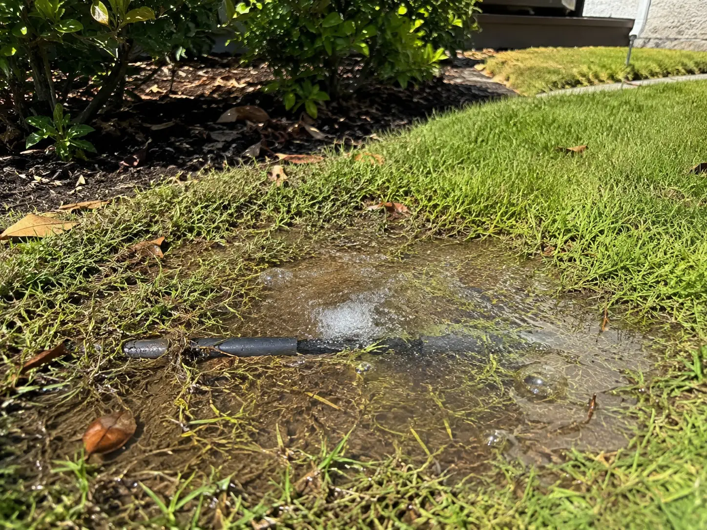 Irrigation leak detection and repair services in Oakland, CA