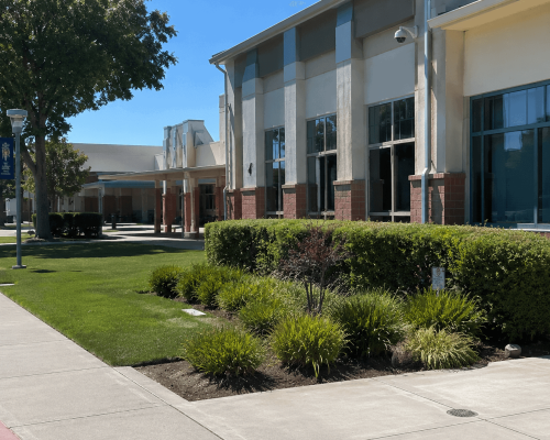 Commercial landscaping at a school campus in Oakland, CA featuring maintained lawns, shrubs, trees, and professional landscape maintenance.