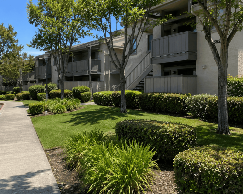 HOA and apartment community with professionally maintained commercial landscaping in Oakland, CA featuring trees, shrubs, lawns, and clean walkways.